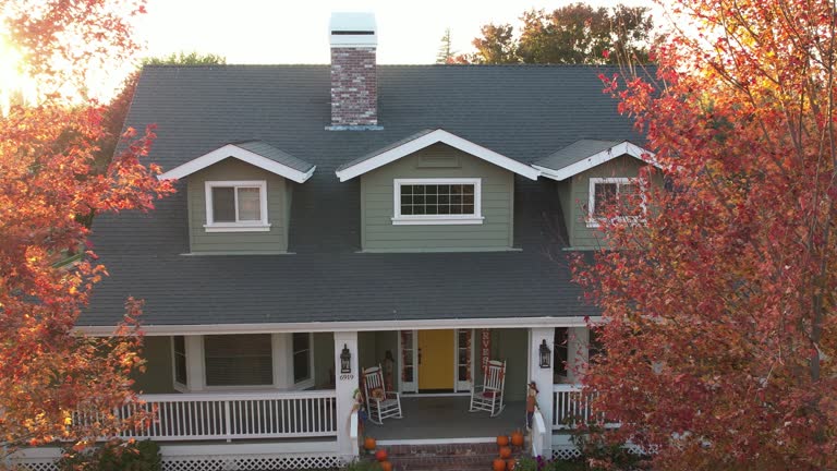 Best Chimney Flashing Repair  in Alma, NE