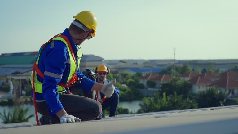 Best Sheet Metal Roofing  in Alma, NE
