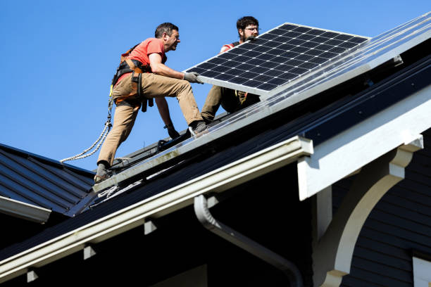 Best Roof Moss and Algae Removal  in Alma, NE
