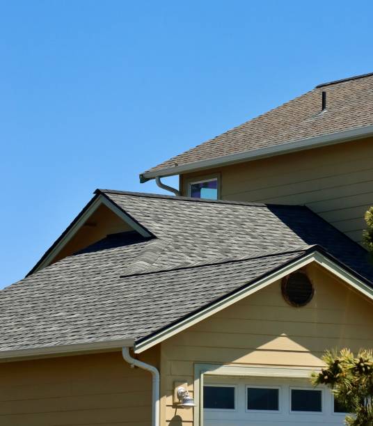 Best Skylight Installation and Repair  in Alma, NE
